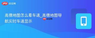高德地图怎么看车速_高德地图导航实时车速显示