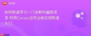 如何快速学习一门全新的编程语言 利用Cursor边写边练实现快速入门