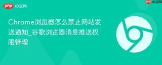 chrome浏览器怎么禁止网站发送通知_谷歌浏览器消息推送权限管理