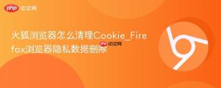火狐浏览器怎么清理Cookie_Firefox浏览器隐私数据删除