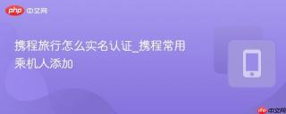 携程旅行怎么实名认证_携程常用乘机人添加