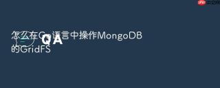 怎么在go语言中操作mongodb的gridfs