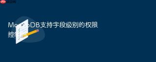 MongoDB支持字段级别的权限控制吗