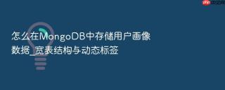 怎么在MongoDB中存储用户画像数据_宽表结构与动态标签
