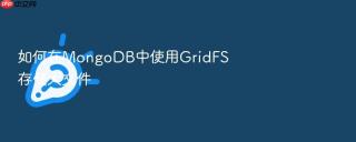 如何在MongoDB中使用GridFS存储大文件