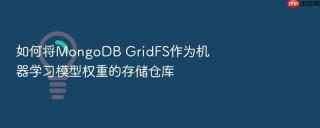 如何将MongoDB GridFS作为机器学习模型权重的存储仓库