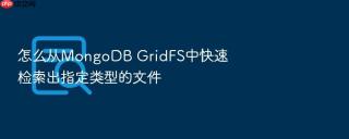 怎么从mongodb gridfs中快速检索出指定类型的文件
