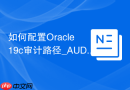 如何配置Oracle 19c审计路径_AUDIT_FILE_DEST与表空间映射