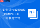 如何进行数据清洗_利用PLSQL正则表达式替换非法字符