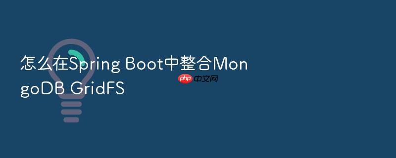 怎么在spring boot中整合mongodb gridfs