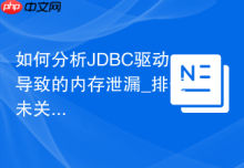 如何分析JDBC驱动导致的内存泄漏_排查未关闭的ResultSet与缓存的Statement