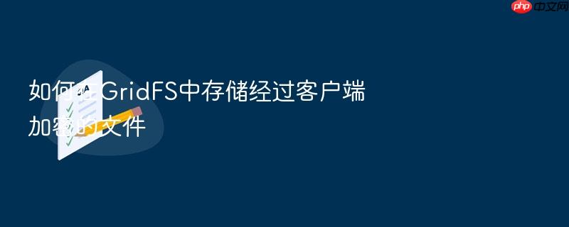 如何在gridfs中存储经过客户端加密的文件