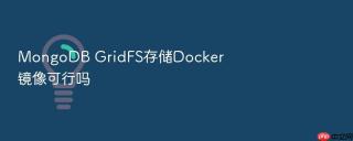 mongodb gridfs存储docker镜像可行吗