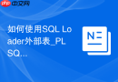 如何使用SQL Loader外部表_PLSQL直接查询文件数据