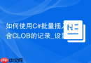 如何使用C#批量插入包含CLOB的记录_设置OracleParameter的OracleDbType.Clob提高性能