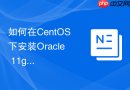 如何在CentOS下安装Oracle 11g_系统内核参数与依赖包配置指南