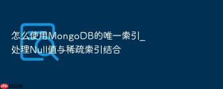 怎么使用mongodb的唯一索引_处理null值与稀疏索引结合