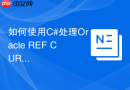 如何使用C#处理Oracle REF CURSOR_游标作为输出参数映射为DataReader读取
