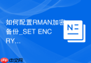 如何配置RMAN加密备份_SET ENCRYPTION IDENTIFIED BY密码保护数据