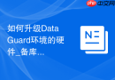 如何升级Data Guard环境的硬件_备库先升级切换再升级主库的滚动硬件替换
