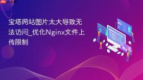 宝塔网站图片太大导致无法访问_优化nginx文件上传限制