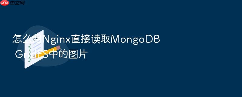 怎么用nginx直接读取mongodb gridfs中的图片