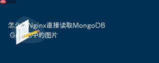 怎么用nginx直接读取mongodb gridfs中的图片