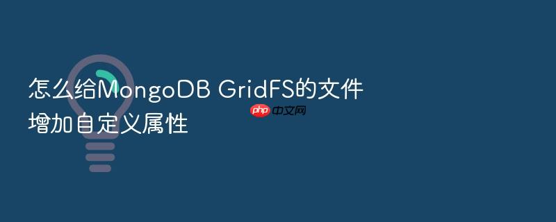 怎么给mongodb gridfs的文件增加自定义属性