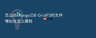 怎么给mongodb gridfs的文件增加自定义属性