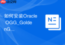 如何安装Oracle OGG_GoldenGate进程配置与环境变量要求