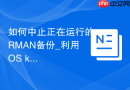 如何中止正在运行的RMAN备份_利用OS kill进程或SQL强杀通道会话