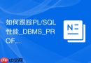 如何跟踪PL/SQL性能_DBMS_PROFILER包定位代码瓶颈