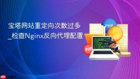宝塔网站重定向次数过多_检查nginx反向代理配置