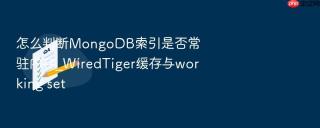 怎么判断mongodb索引是否常驻内存_wiredtiger缓存与working set