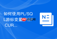 如何使用PL/SQL游标变量_REF CURSOR定义与动态查询返回