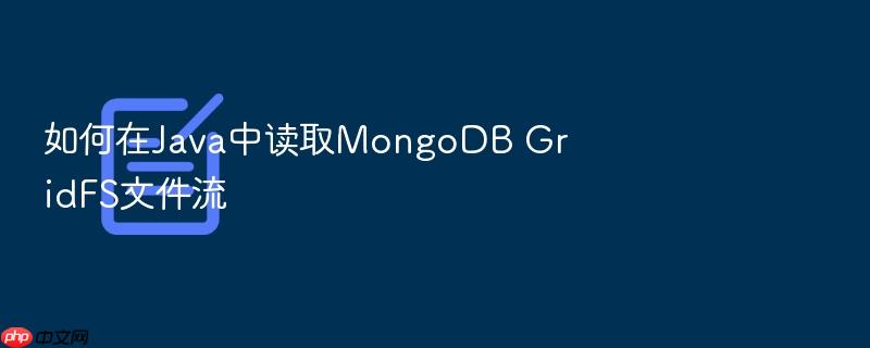 如何在java中读取mongodb gridfs文件流