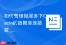 如何管理微服务下Oracle的数据库连接数_调整应用节点的MaxActive汇总以防止超processes