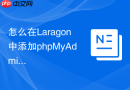 怎么在Laragon中添加phpMyAdmin_本地集成环境扩展