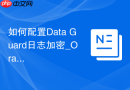 如何配置Data Guard日志加密_Oracle Net加密保证重做日志安全