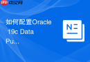 如何配置Oracle 19c Data Pump目录_数据泵导入导出的环境准备