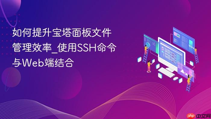 如何提升宝塔面板文件管理效率_使用ssh命令与web端结合