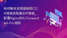 如何解决宝塔面板因cdn导致获取真实ip错误_配置nginx的x-forwarded-for规则