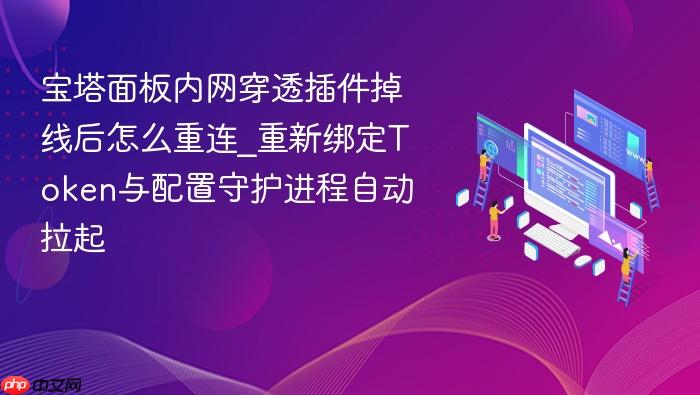 宝塔面板内网穿透插件掉线后怎么重连_重新绑定token与配置守护进程自动拉起
