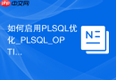 如何启用PLSQL优化_PLSQL_OPTIMIZE_LEVEL参数级别解析