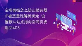 宝塔面板怎么防止服务器ip被恶意泛解析绑定_设置默认站点指向空网页或返回403
