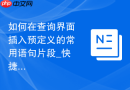 如何在查询界面插入预定义的常用语句片段_快捷片段功能的定制指南