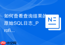 如何查看查询结果的原始SQL日志_Profiling性能分析工具