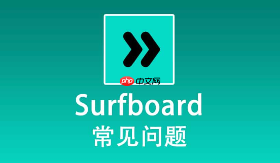 黑色衣服粘毛怎么办_利用除毛刷与湿毛巾的处理