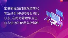 宝塔面板如何直观查看和专业分析网站的每日访问日志_在网站管理中点击日志查询并使用分析插件