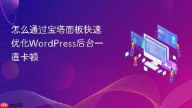 怎么通过宝塔面板快速优化wordpress后台一直卡顿